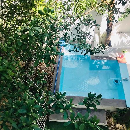 Cozy Tiny Studio Acasadialexplayadelcarmen Плая дел Кармен Екстериор снимка