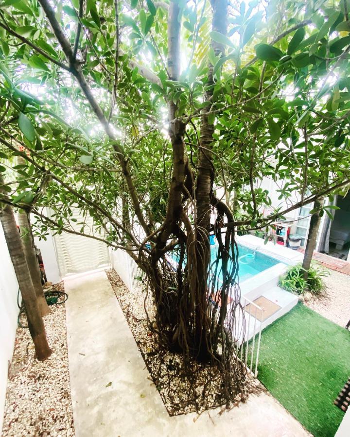 Cozy Tiny Studio Acasadialexplayadelcarmen Плая дел Кармен Екстериор снимка