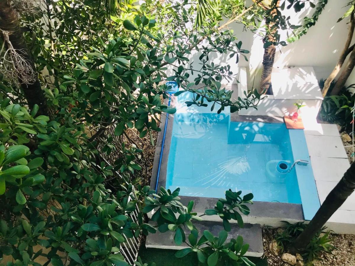 Cozy Tiny Studio Acasadialexplayadelcarmen Плая дел Кармен Екстериор снимка